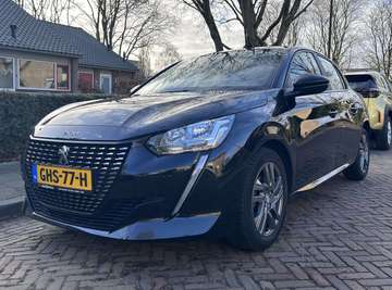 1.2 PT Parkeersensoren, Cruise Control, Apple Carp