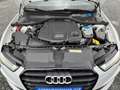 Audi A6 Avant 3.0TDI quattro S-Line Navi+AHK+Head-up Displ Weiß - thumbnail 6