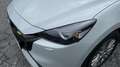 Mazda 2 2023 e-SKYACTIV G 90CV MT 2WD EXCLUSIVE LINE Blanco - thumbnail 18