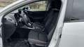 Mazda 2 2023 e-SKYACTIV G 90CV MT 2WD EXCLUSIVE LINE Blanco - thumbnail 11
