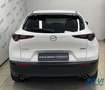 Mazda CX-30 2.0L e-Skyactiv-G M Hybrid 2WD Homura Bianco - thumbnail 5
