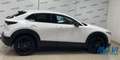 Mazda CX-30 2.0L e-Skyactiv-G M Hybrid 2WD Homura Bianco - thumbnail 7