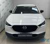 Mazda CX-30 2.0L e-Skyactiv-G M Hybrid 2WD Homura Bianco - thumbnail 14