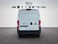 Fiat Ducato Bianco - thumbnail 5