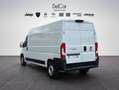 Fiat Ducato Bianco - thumbnail 4