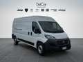 Fiat Ducato Bianco - thumbnail 8
