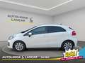 Kia Rio 5p 1.1 crdi Cool E6 1 PROPRIETARIO Bianco - thumbnail 4