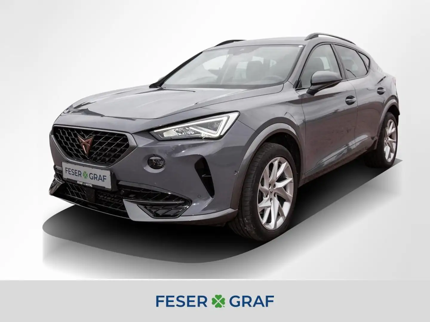CUPRA Formentor 2.0 TDI 4Drive DSG LED/Navi/ACC/SHZ Grau - 1