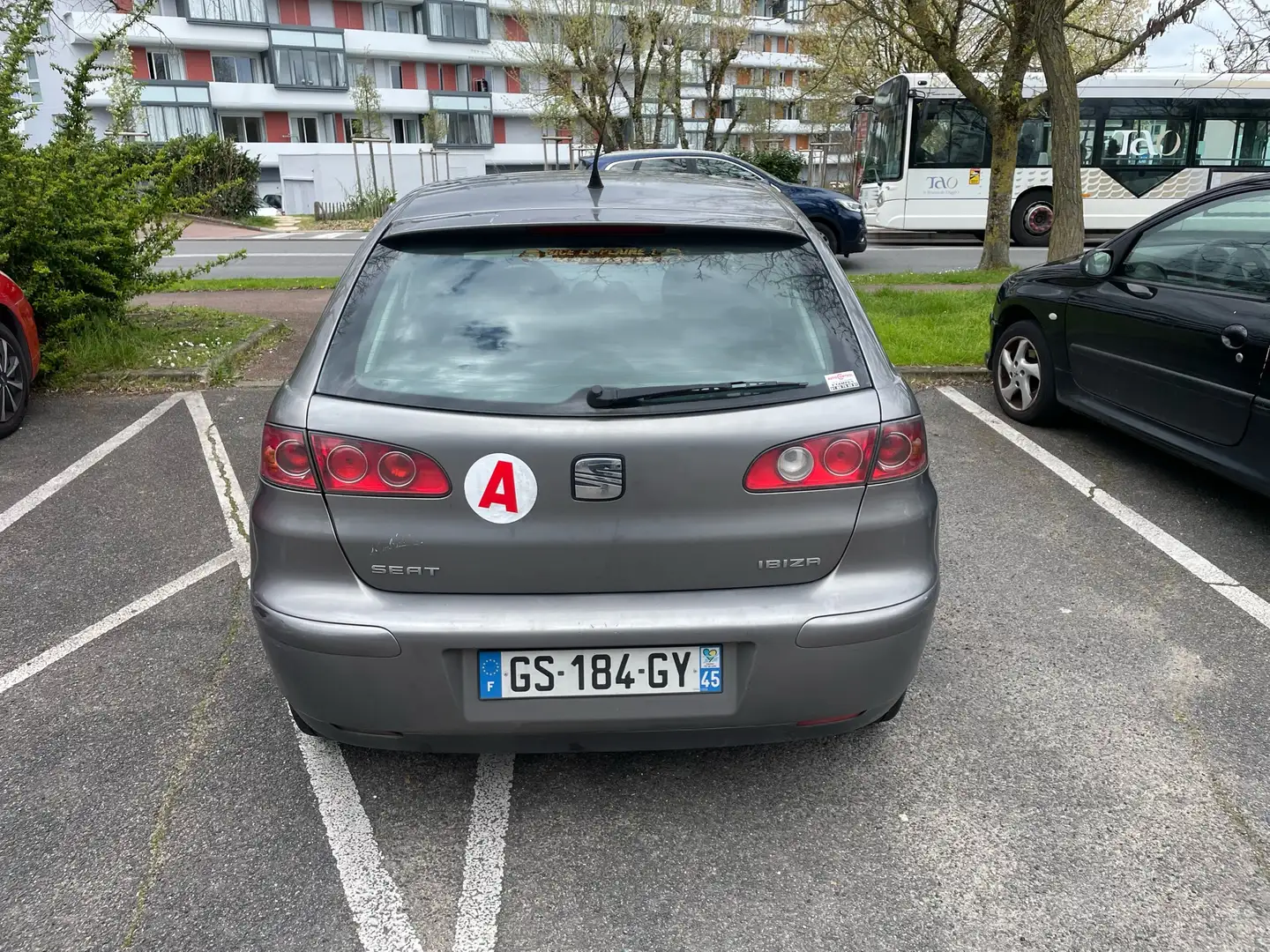 SEAT Ibiza 1.9 SDI Blue Edition Beżowy - 2