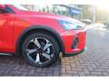 Ford Focus 1.0 EcoBoost Mild-Hybrid Active Sync4 Kamera SHZ Rot - thumbnail 6
