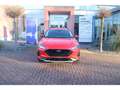Ford Focus 1.0 EcoBoost Mild-Hybrid Active Sync4 Kamera SHZ Rot - thumbnail 2