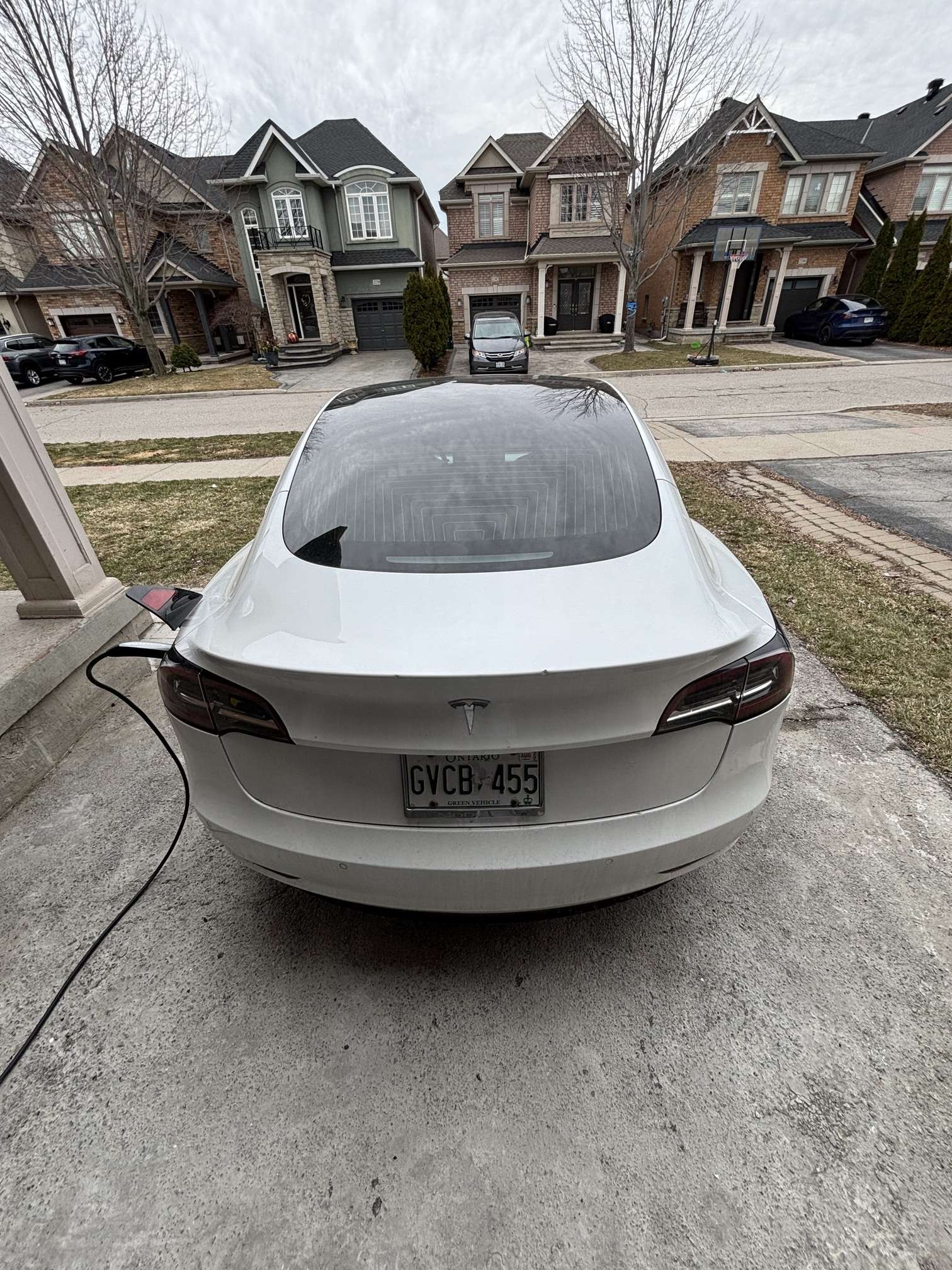 2019 Tesla Model 3 Standard Range Plus RWD alt 4