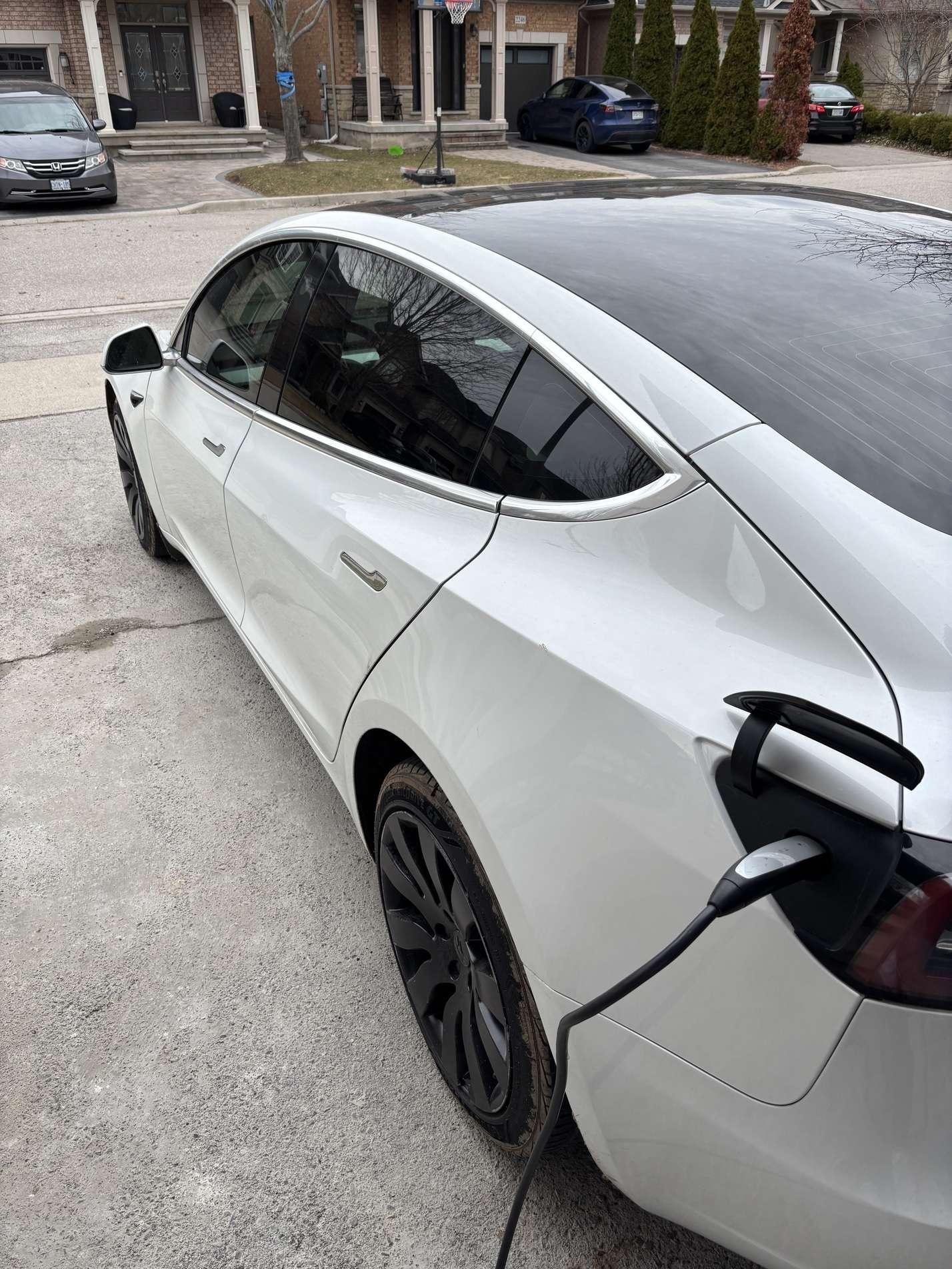 2019 Tesla Model 3 Standard Range Plus RWD alt 5