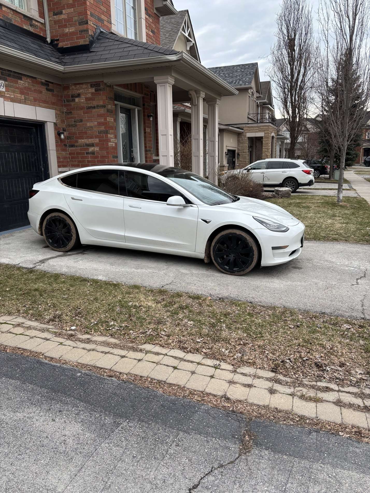 2019 Tesla Model 3 Standard Range Plus RWD alt 3