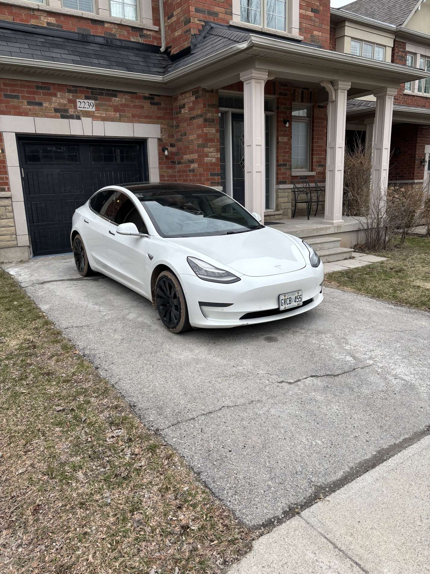 2019 Tesla Model 3 Standard Range Plus RWD alt 2