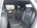 Renault Austral Techno Mild Hybrid 160 Automatik Weiß - thumbnail 10