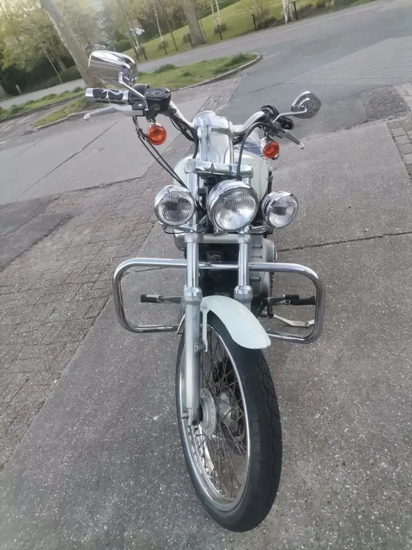 Harley-Davidson XL 883 Zilver - 2
