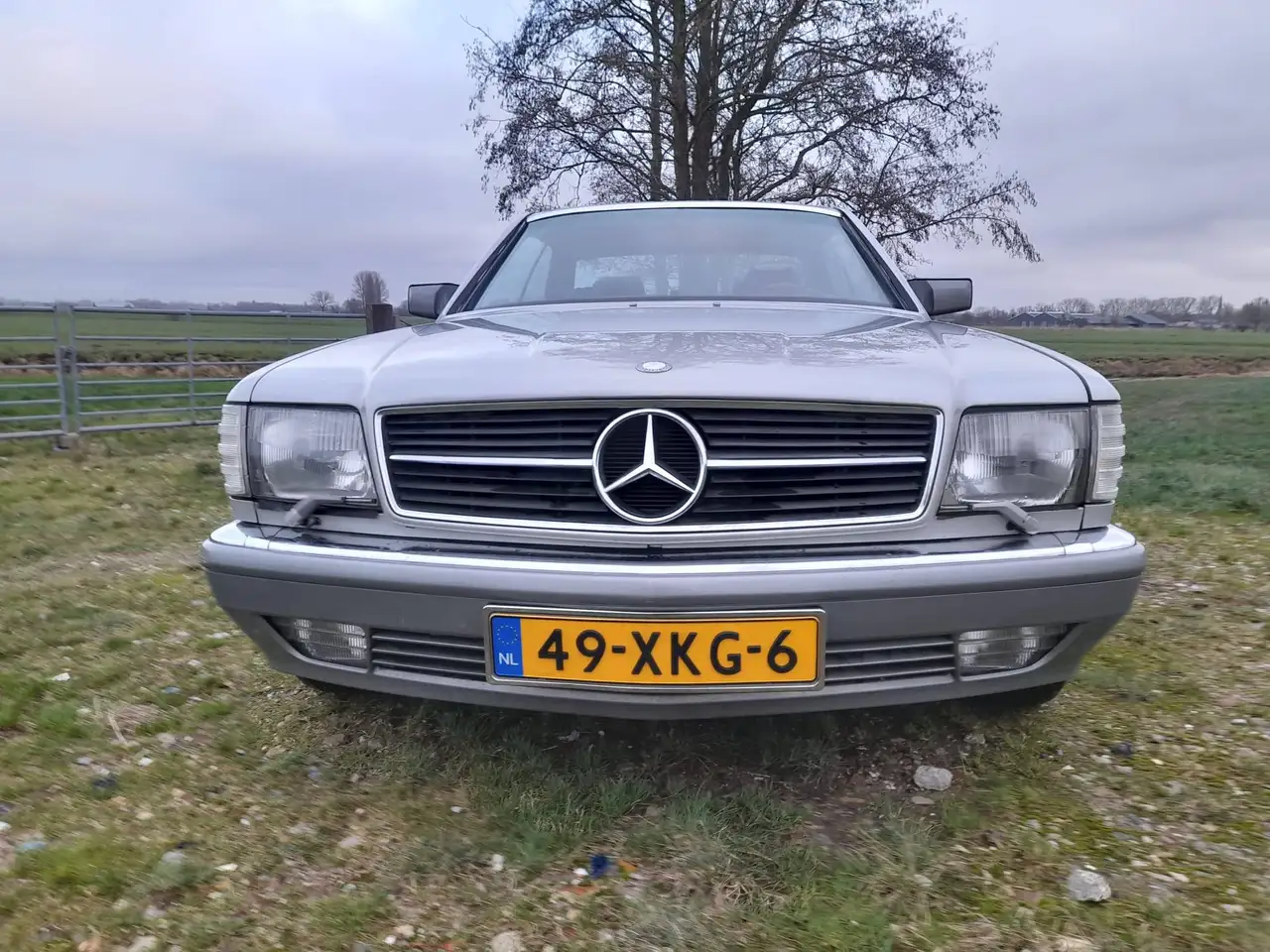 Mercedes-Benz 560, foto 2