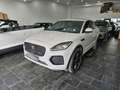 Jaguar E-Pace R-Dynamic SE Navi Camera Tetto C.20" LED BlackPack Gris - thumbnail 17