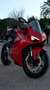 Ducati Panigale V4 Rojo - thumbnail 4