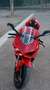 Ducati Panigale V4 Rojo - thumbnail 6