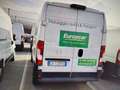 Opel Movano 35 2.2 BlueHDi L2 H2 Furgone Bianco - thumbnail 4