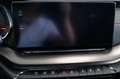 Skoda Octavia Combi RS 2.0TSI DSG AHK RFK Canton Grau - thumbnail 13