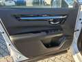 Honda CR-V e:HEV Advance AWD Weiß - thumbnail 11
