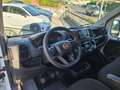 Fiat Ducato 35 2.2 Mjt 140CV PM-TM Furgone N°GV370 Weiß - thumbnail 2