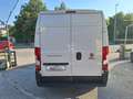 Fiat Ducato 35 2.2 Mjt 140CV PM-TM Furgone N°GV370 Weiß - thumbnail 13