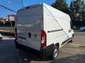 Fiat Ducato 35 2.2 Mjt 140CV PM-TM Furgone N°GV370 Weiß - thumbnail 6