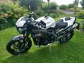 Triumph Speed Triple 1050 RS Weiß - thumbnail 2