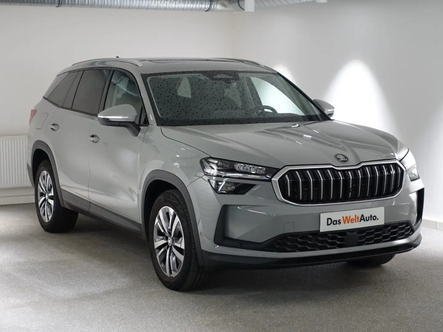 Skoda Kodiaq Kodiaq Selection TDI DSG, 2024 Grau - 1