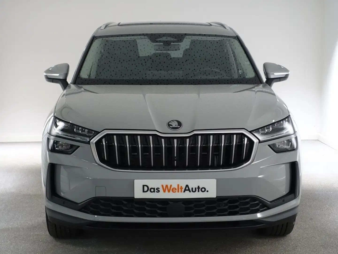 Skoda Kodiaq Kodiaq Selection TDI DSG, 2024 Grau - 2
