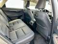Lexus NX 300 300h F Luxury 4WD Gris - thumbnail 10