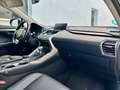 Lexus NX 300 300h F Luxury 4WD Gris - thumbnail 8