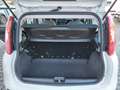 Fiat Panda 1.0 70cv Hybrid E6D-Isc - PREZZO SENZA VINCOLI Bianco - thumbnail 5