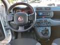 Fiat Panda 1.0 70cv Hybrid E6D-Isc - PREZZO SENZA VINCOLI Bianco - thumbnail 7