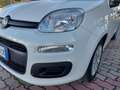 Fiat Panda 1.0 70cv Hybrid E6D-Isc - PREZZO SENZA VINCOLI Bianco - thumbnail 13
