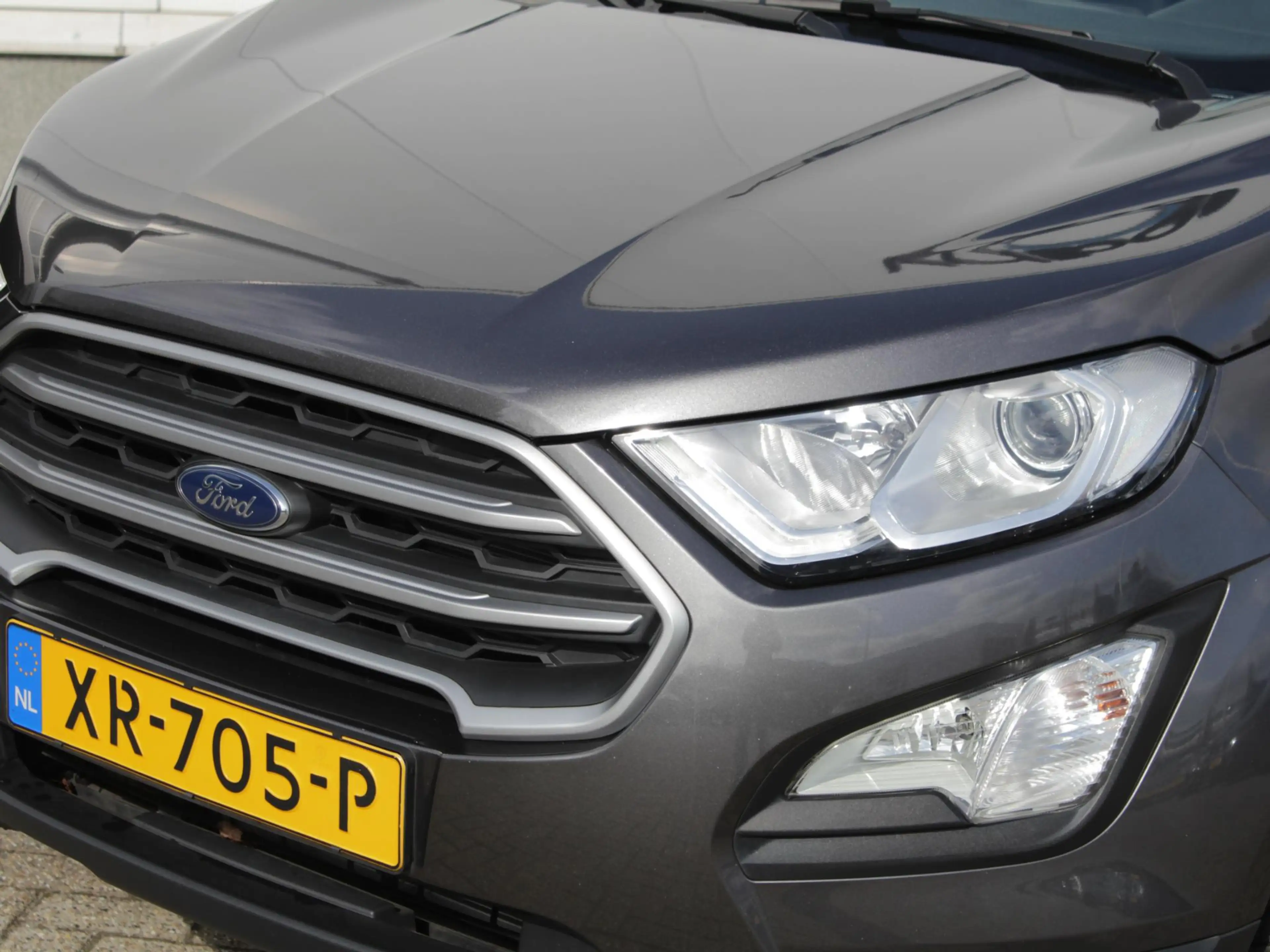 Ford EcoSport 1.0 EcoBoost Trend Ultimate | Navi | Cruise | Park — photo 11