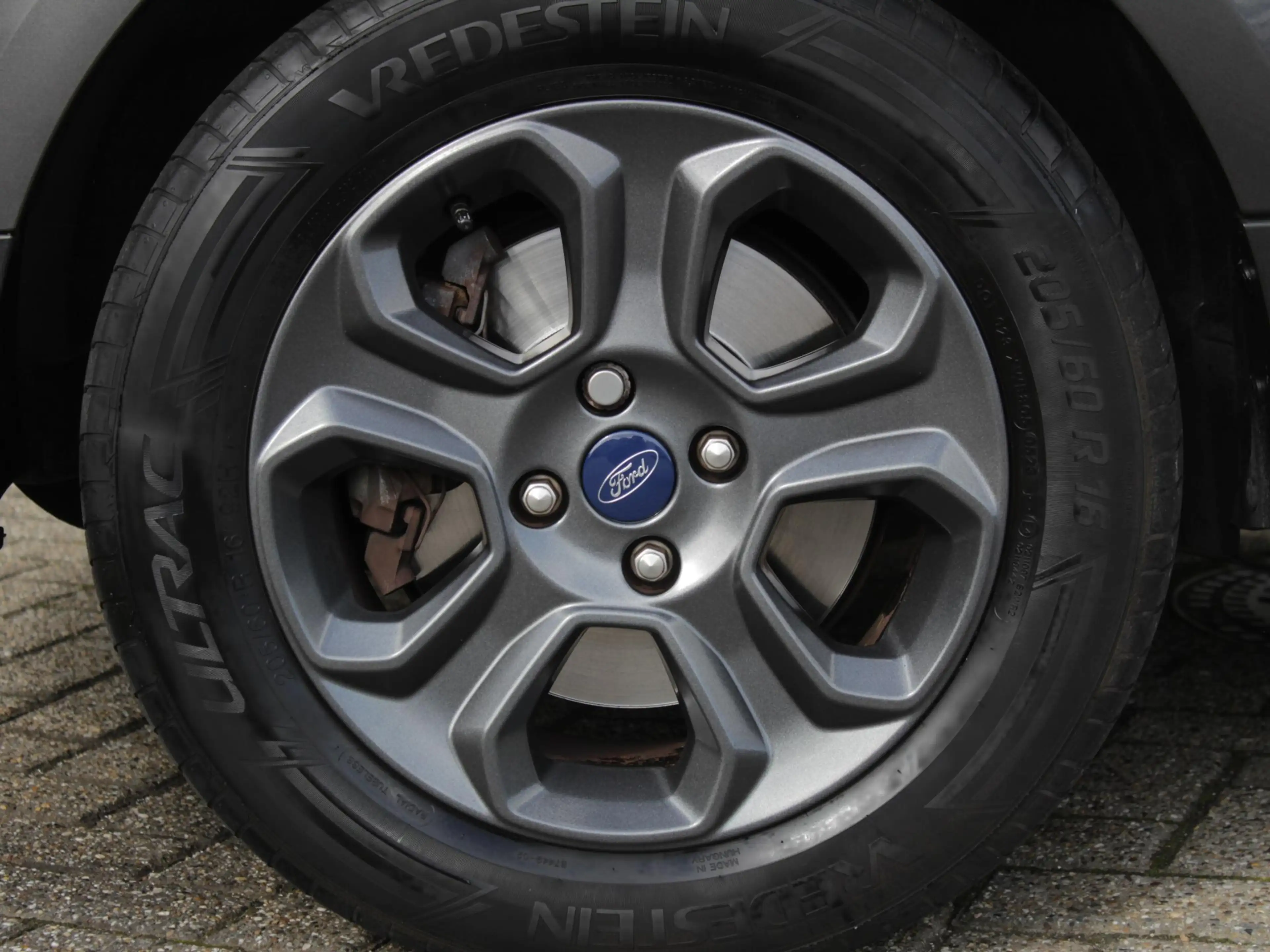 Ford EcoSport 1.0 EcoBoost Trend Ultimate | Navi | Cruise | Park — photo 13