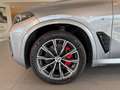 BMW X5 xDrive40d  M Sport PRO M Sportpaket HK HiFi Grau - thumbnail 26