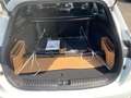 Kia Ceed / cee'd *AKTIONSPREIS*Nightline Edition*RFK*CarPlay*PDC*Te Weiß - thumbnail 12