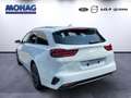 Kia Ceed / cee'd *AKTIONSPREIS*Nightline Edition*RFK*CarPlay*PDC*Te Weiß - thumbnail 4