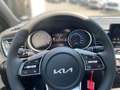 Kia Ceed / cee'd *AKTIONSPREIS*Nightline Edition*RFK*CarPlay*PDC*Te Weiß - thumbnail 8