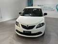 Lancia Ypsilon Ypsilon 1.0 FireFly 5 porte  Hybrid Ecochic Gold Weiß - thumbnail 2
