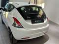 Lancia Ypsilon Ypsilon 1.0 FireFly 5 porte  Hybrid Ecochic Gold Weiß - thumbnail 5