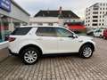 Land Rover Discovery Sport HSE Navi Leder Kamera Weiß - thumbnail 12