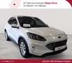 Ford Kuga Kuga 1.5 EcoBlue TITANIUM AHK KAM LED Weiß - thumbnail 1