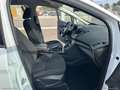 Ford C-Max 1.5 TDCi 95 CV S&S Plus - thumbnail 17
